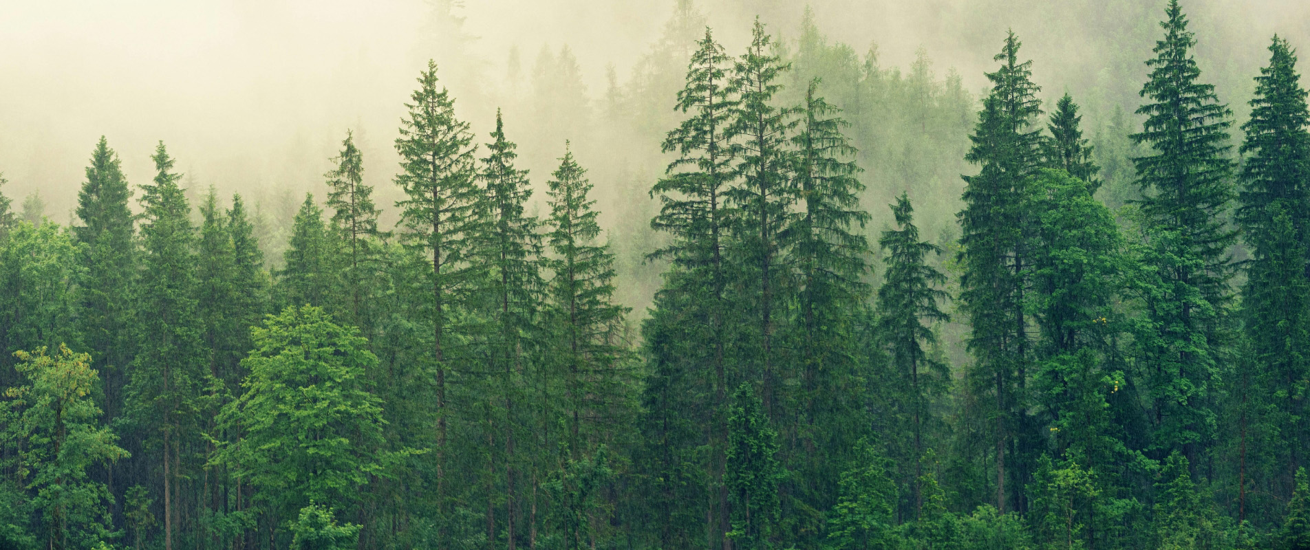 Lower environmental impact